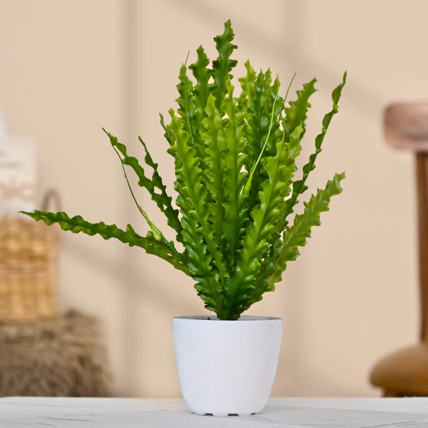 Set of 1 Artificial Plants with Pot