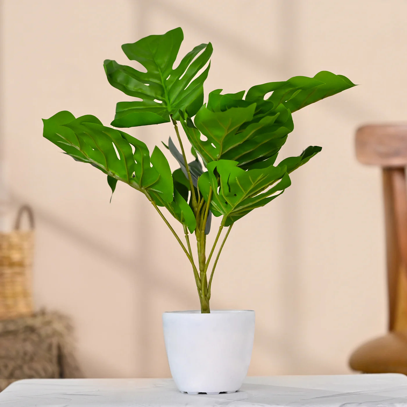 Set of 1 Artificial Plants with Pot