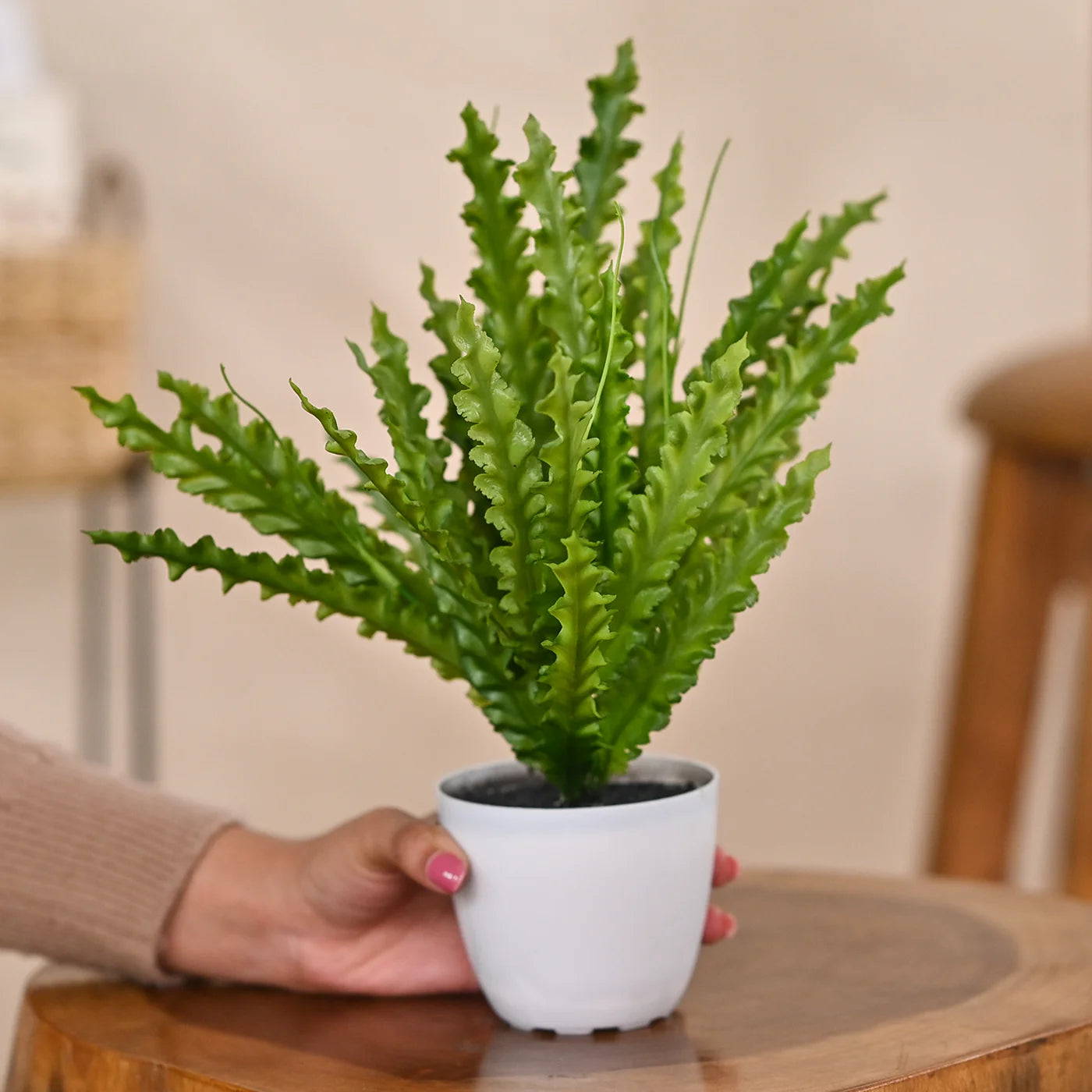 Set of 1 Artificial Plants with Pot
