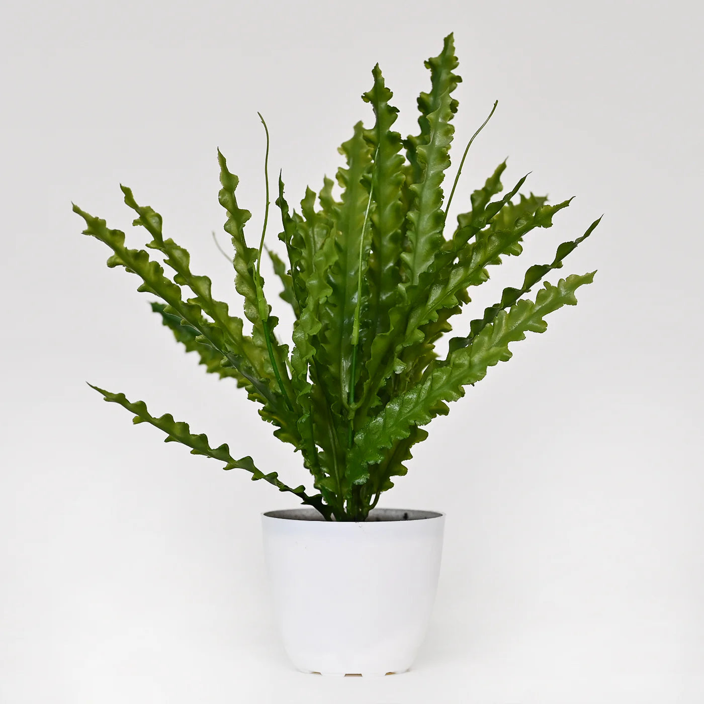 Set of 1 Artificial Plants with Pot