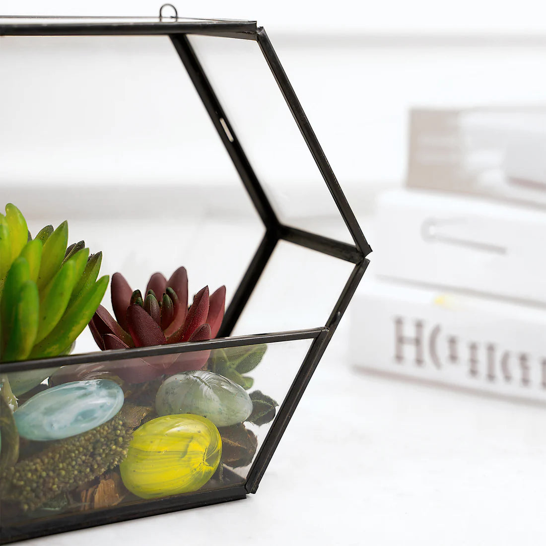 Glass Terrarium Vase