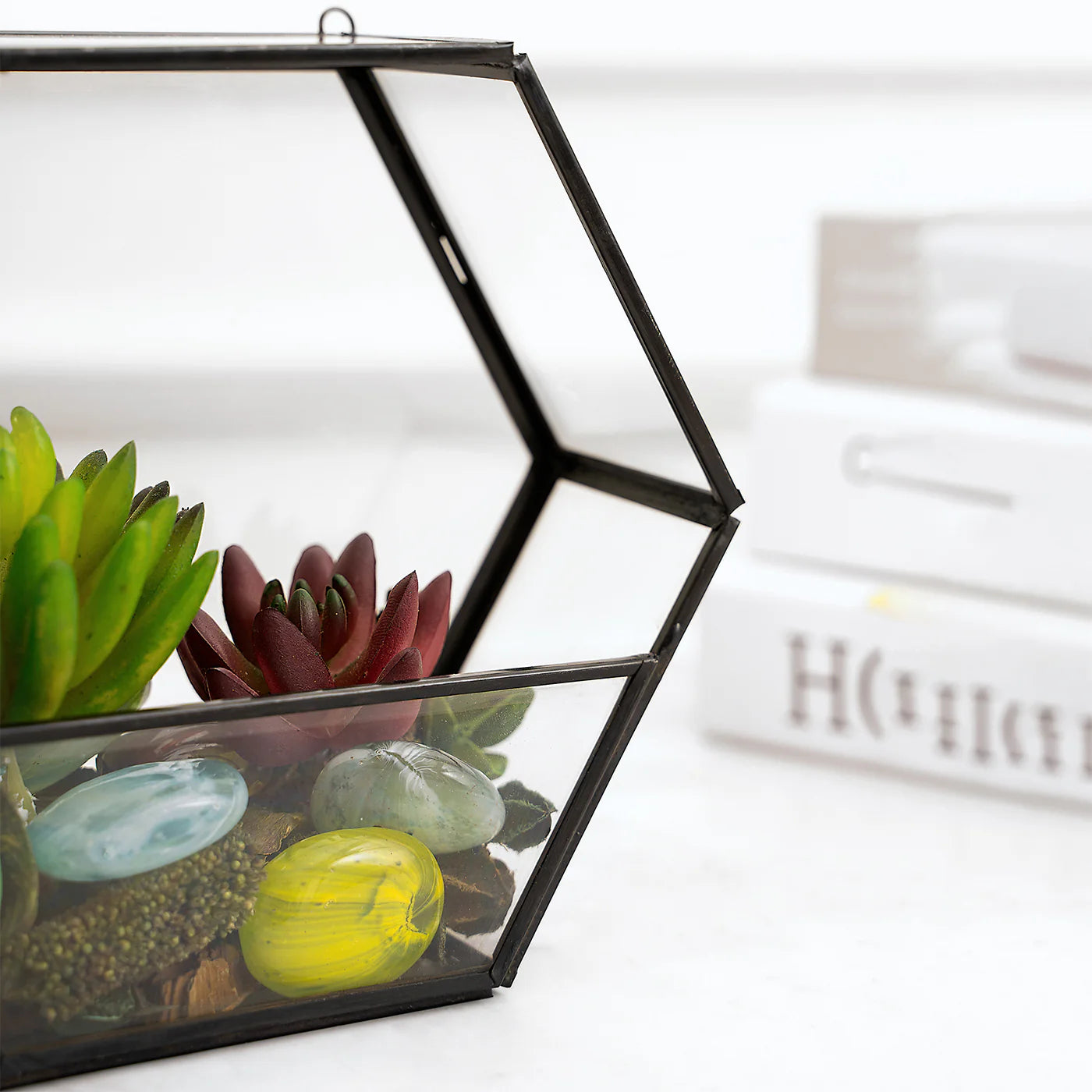 Glass Terrarium Vase